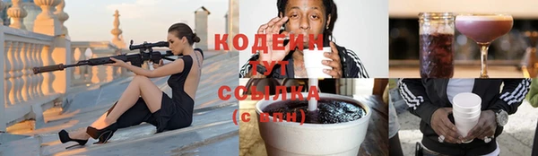 спиды Аша