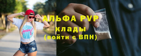 спиды Аша