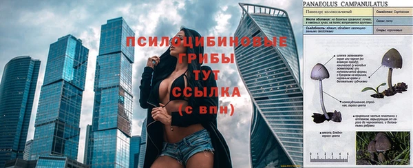спайс Баксан