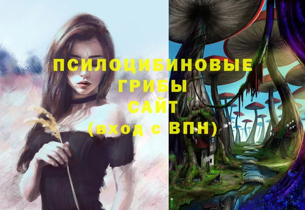 Альфа ПВП Аркадак