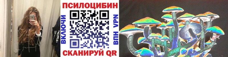 где купить наркотик  Гурьевск  Галлюциногенные грибы Psilocybe 